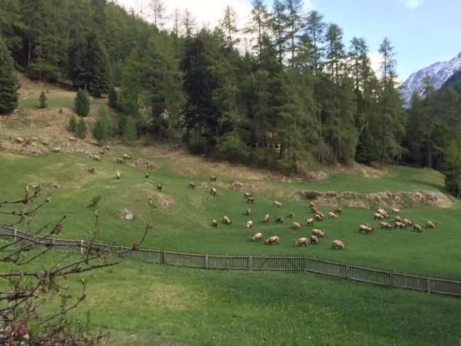 Chesa Melchior-Outside