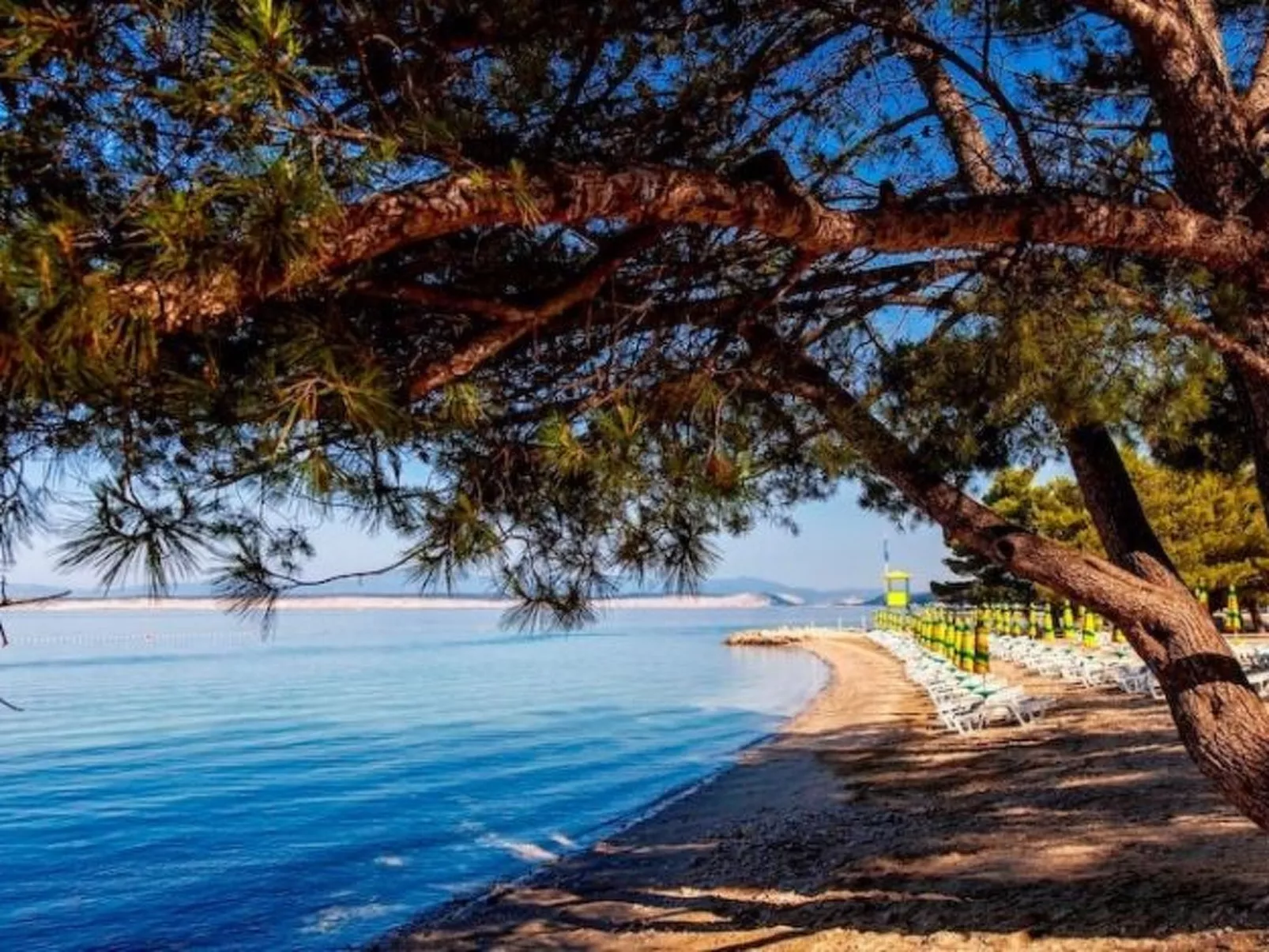 Wohnung für 5 Personen mit Balkon-Outside