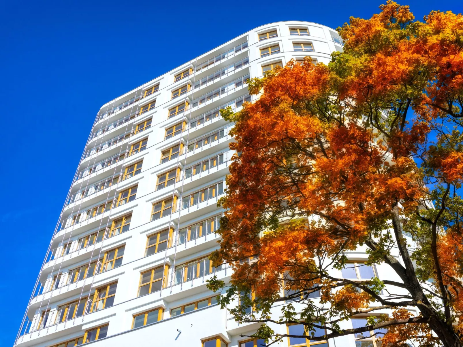 Tower 97 in hervorragender Lage-Image-tags.info