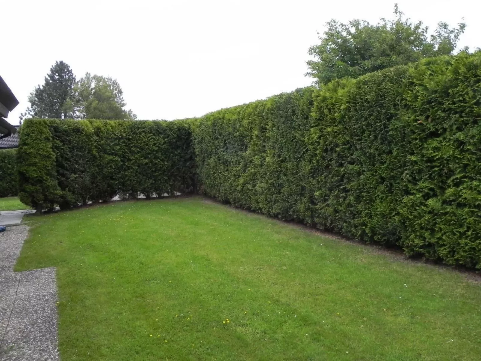 D4 Haus in Eckwarderhörne mit Terrasse und Garte-Draußen