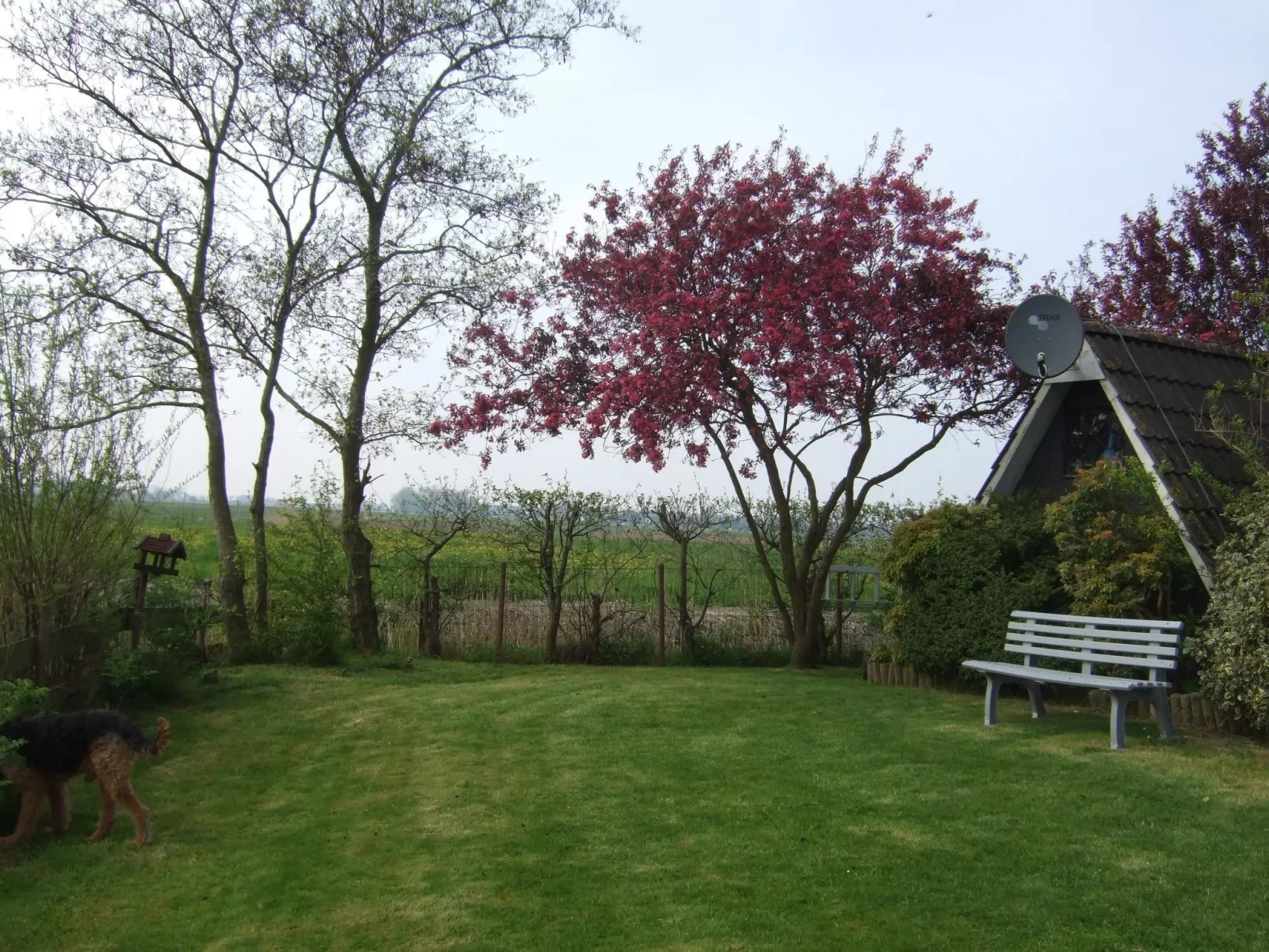 Nurdachhaus Klabautermann mit Terrasse und Garten-Dehors