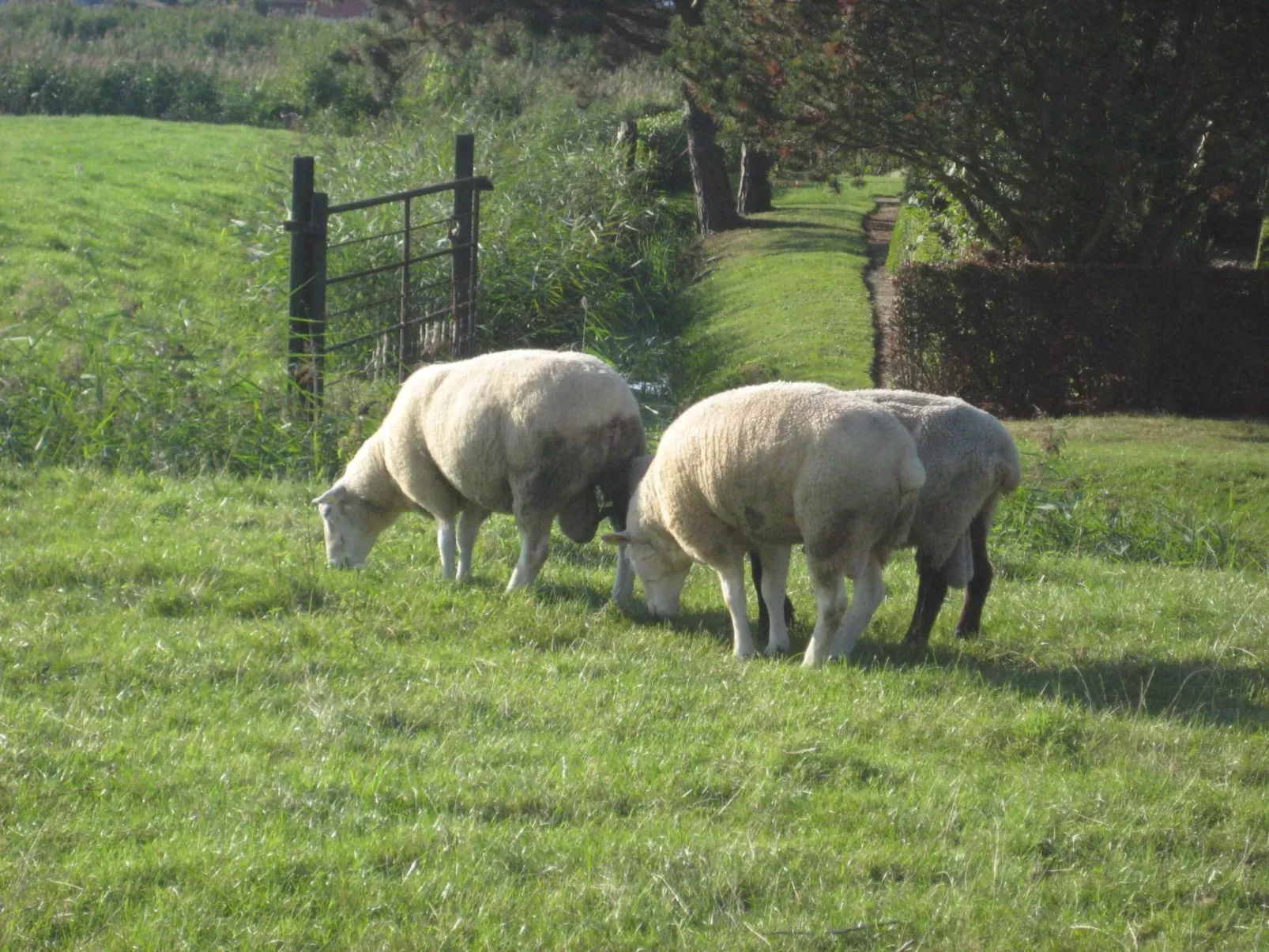 Haus Monika-Draußen