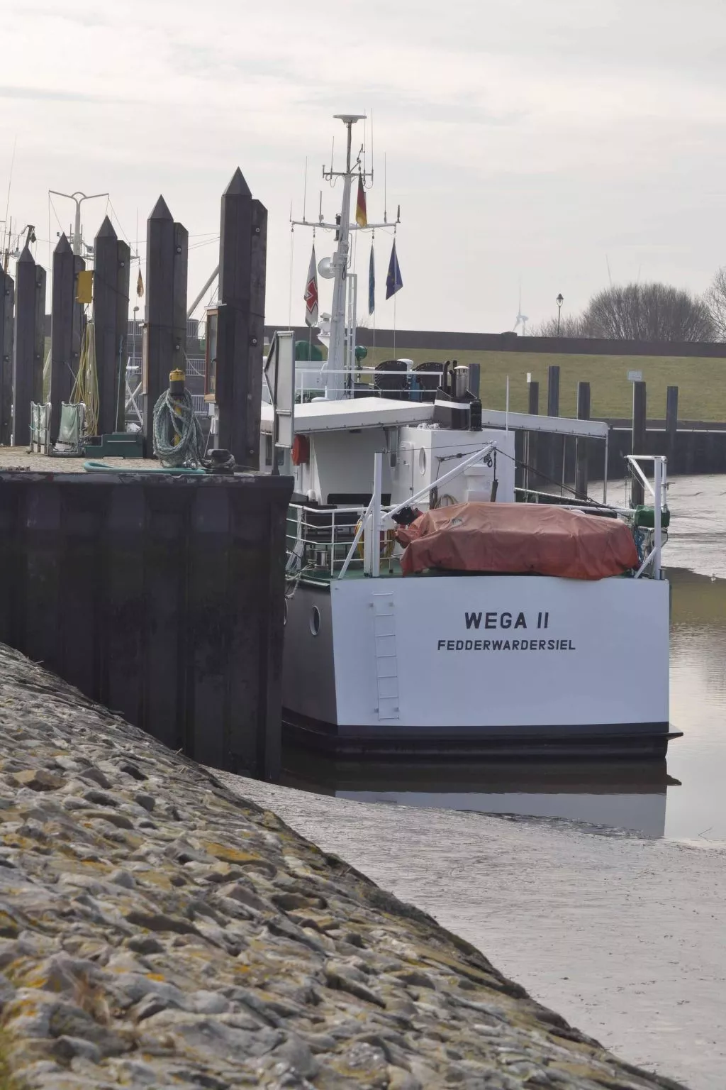 Seepferdchen-Image-tags.info