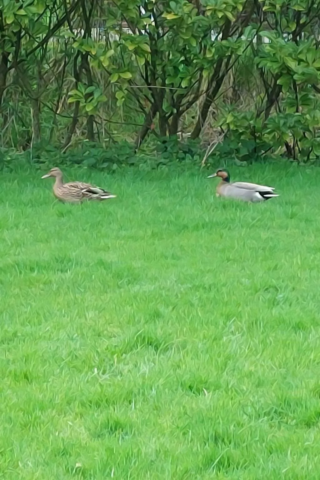 Ankerplatz-Image-tags.info