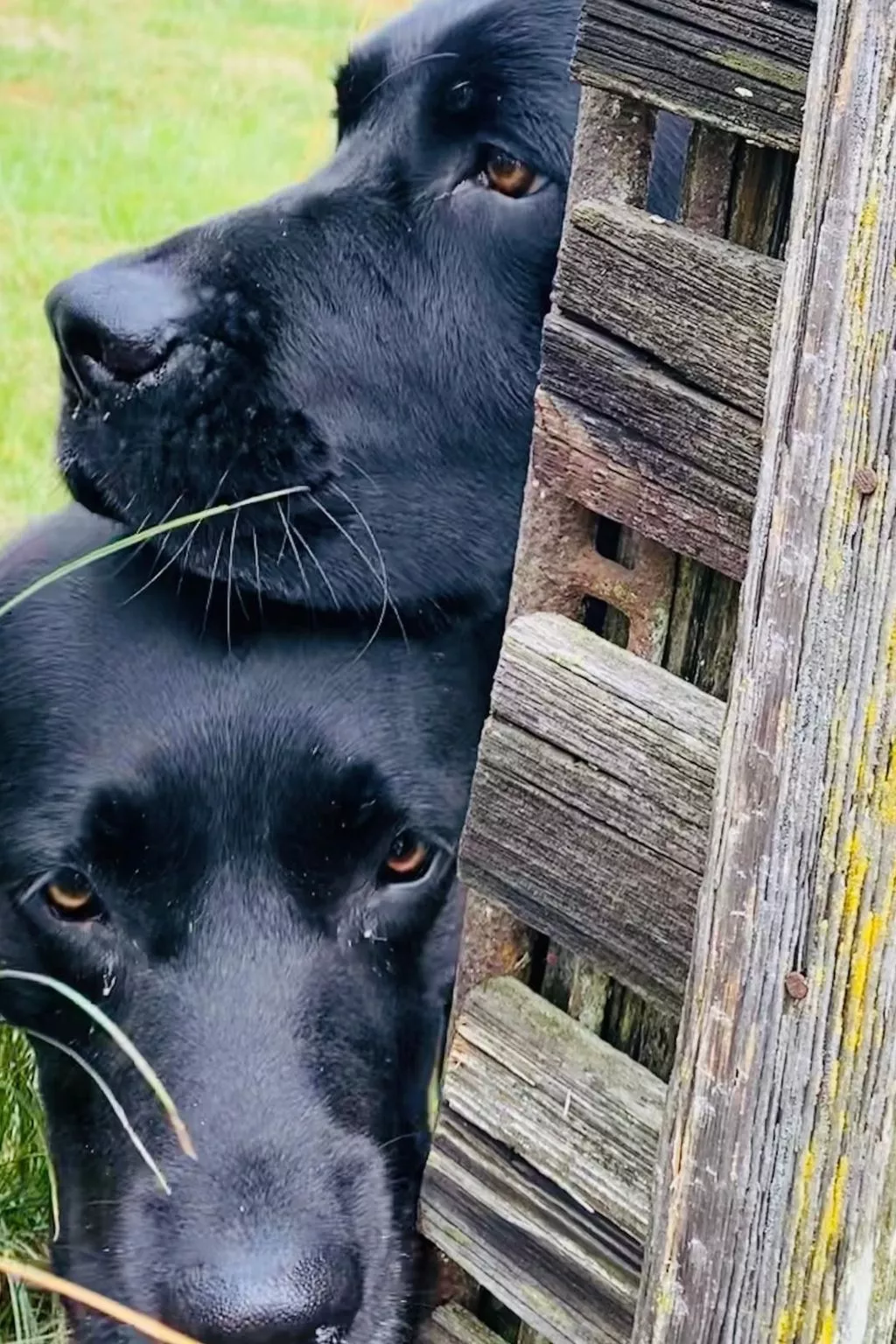 Kellerstöckl am veganen Bio-Lebenshof - Varm - the vegan Farm-Image-tags.info