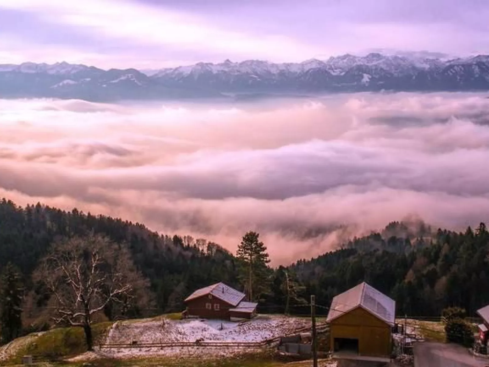 Rheintalblick-Draußen