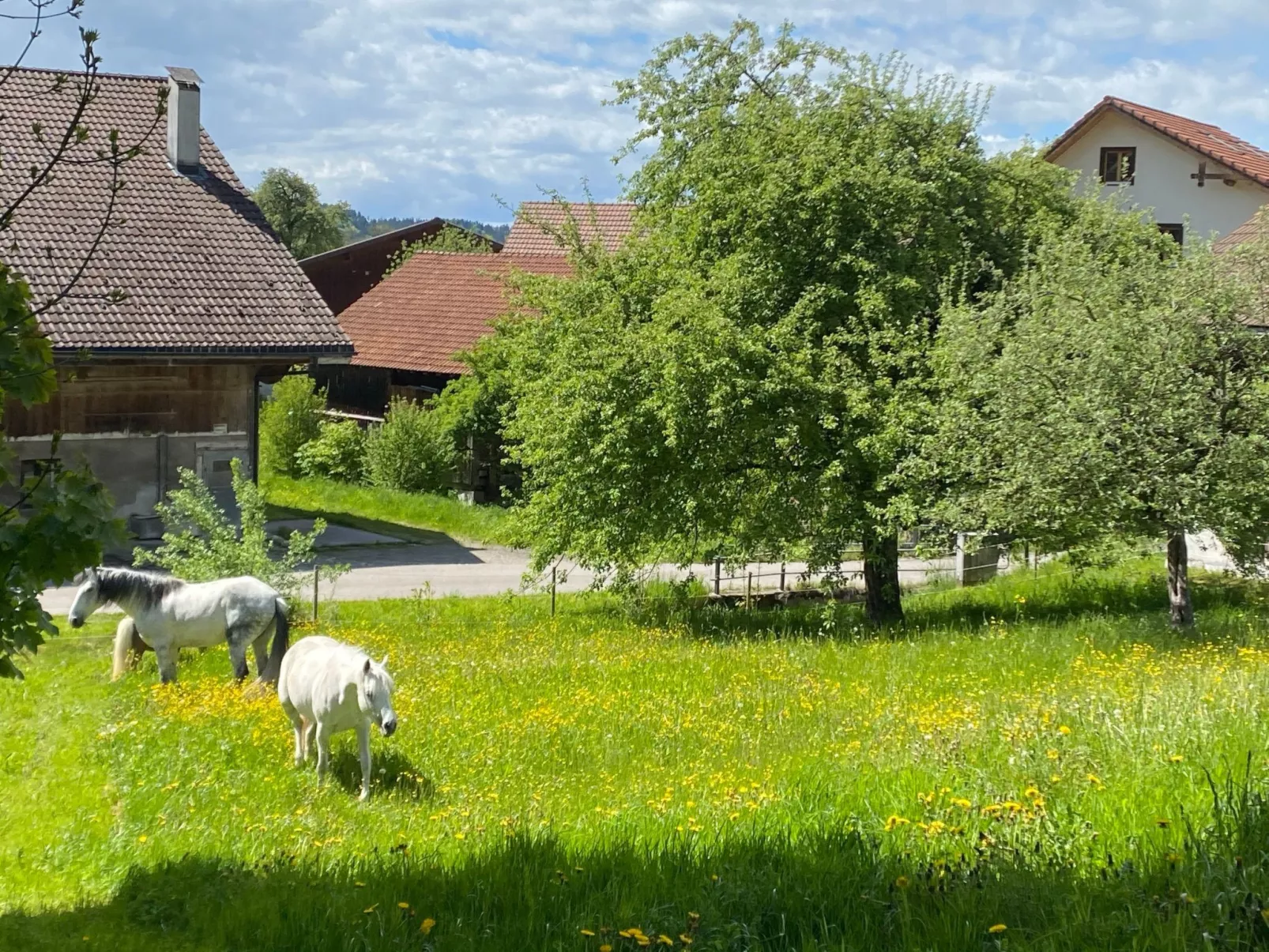 Ferien im Baudenkmal Mühle-Image-tags.info
