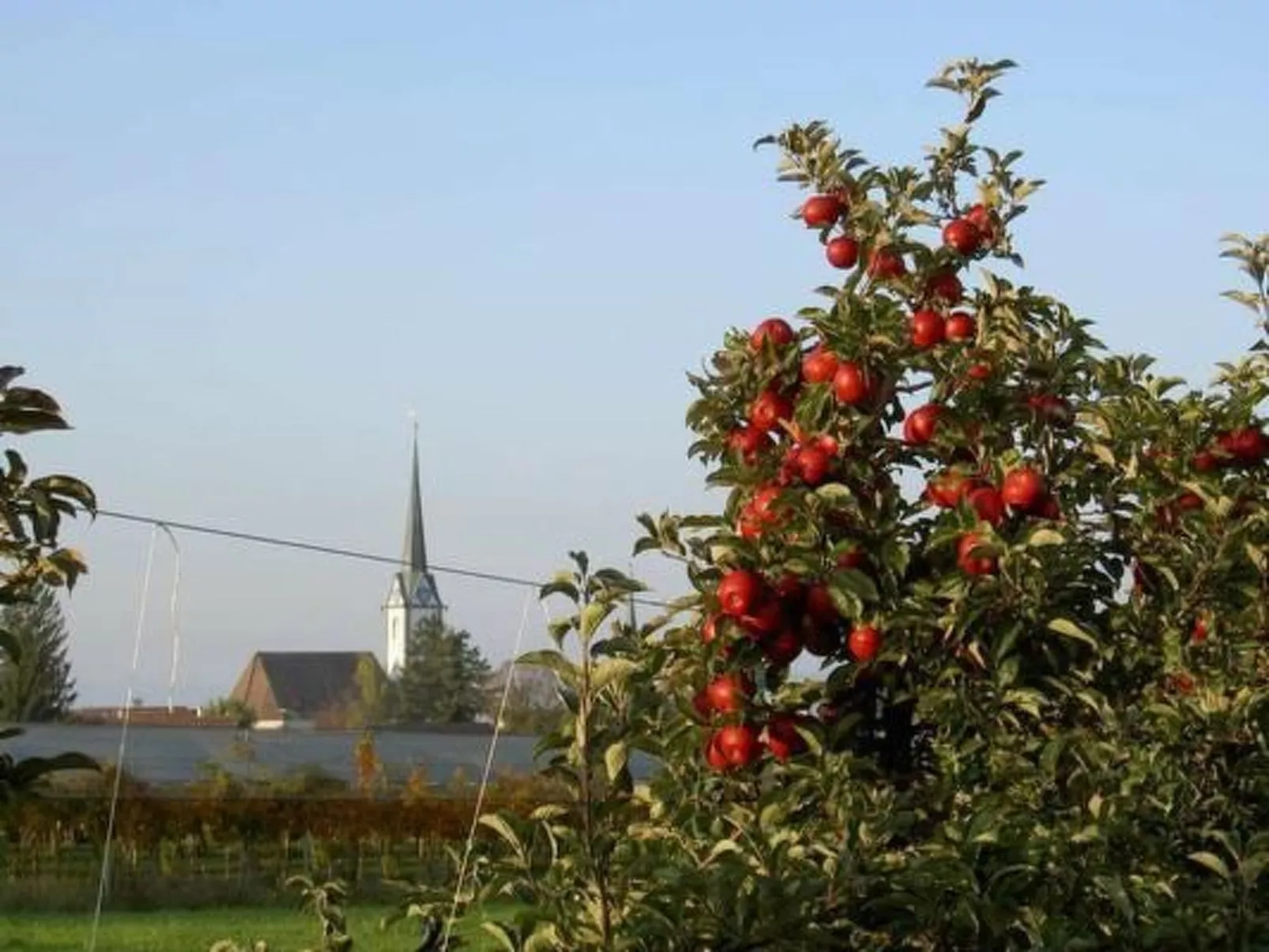 Feierlenhof, 2-Zimmerwohnung Granny, Parterre-Outside