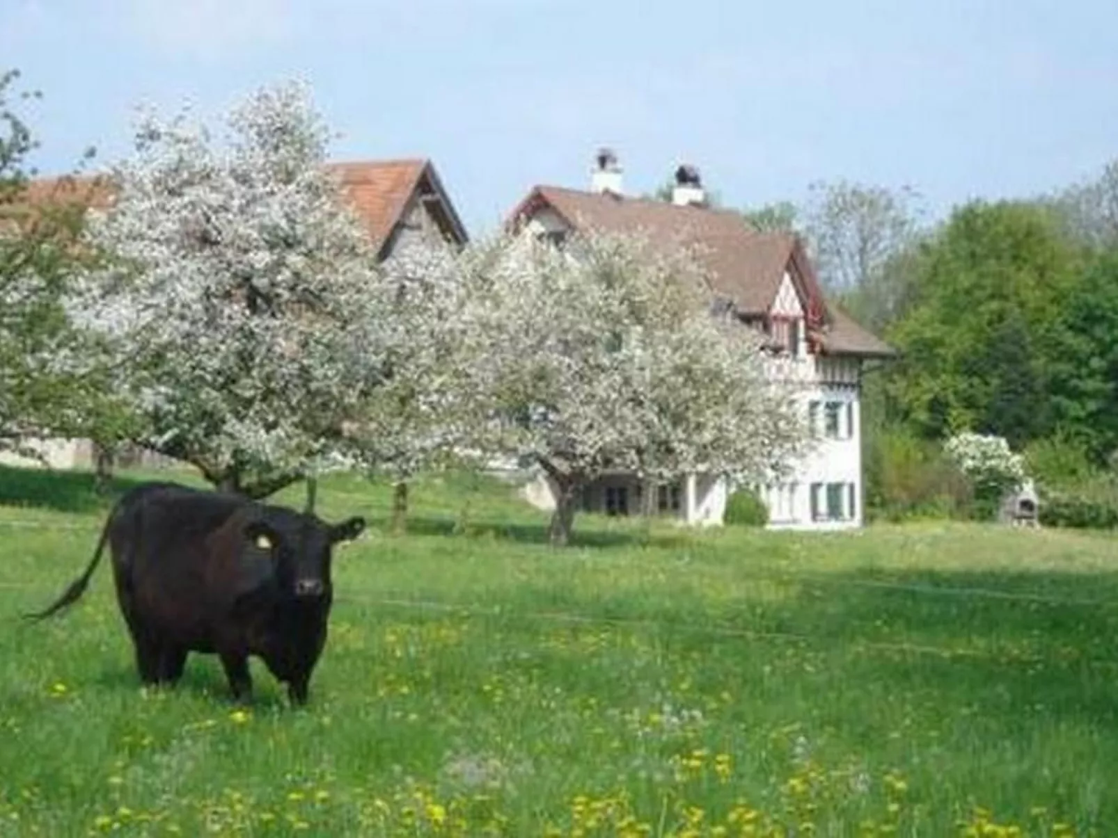 Biohof-Enderlin-Draußen