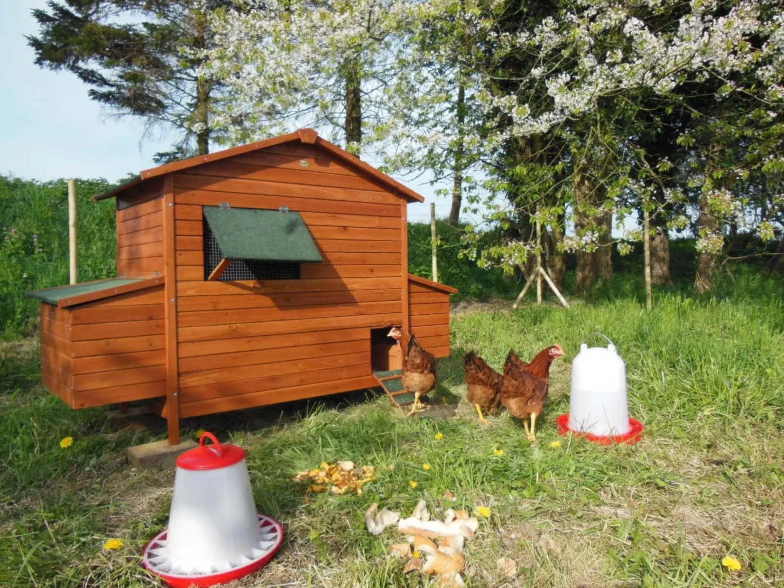 Für 8 Personen-Draußen