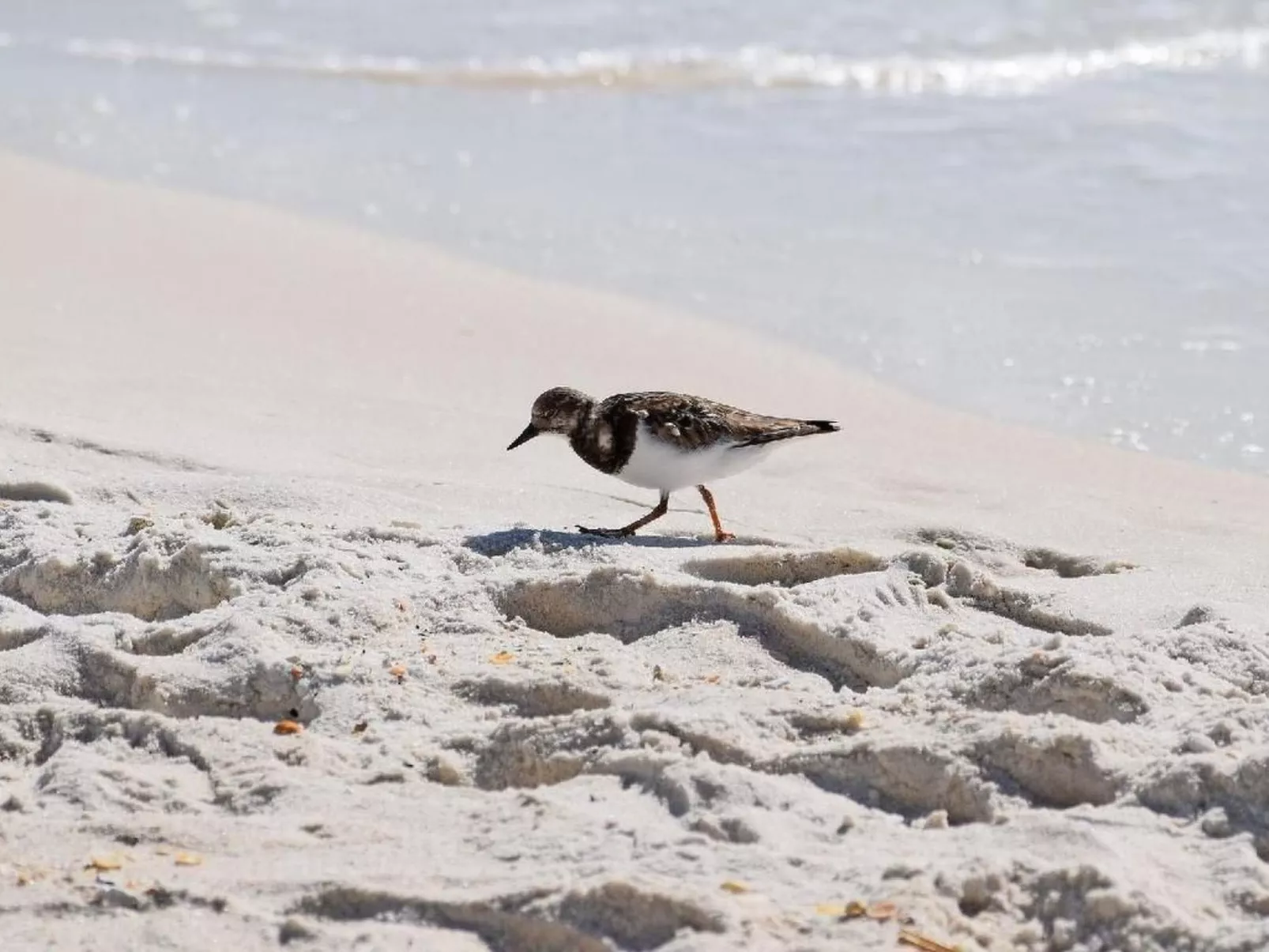 Strandhaus direkt am Meer-Image-tags.info