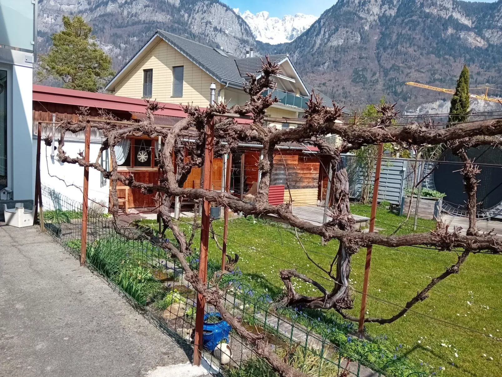 Sunnähöggli-Draußen