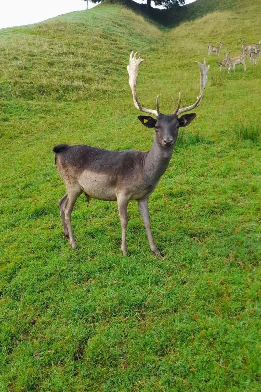 B & B auf dem Bauernhof-Draußen