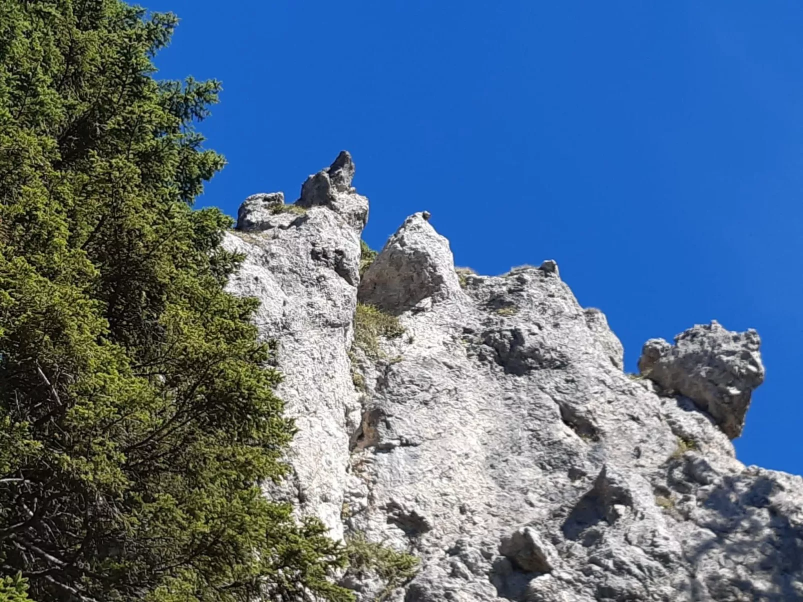 Gemütliche Ferienwohnung in Unterammergau-Dehors