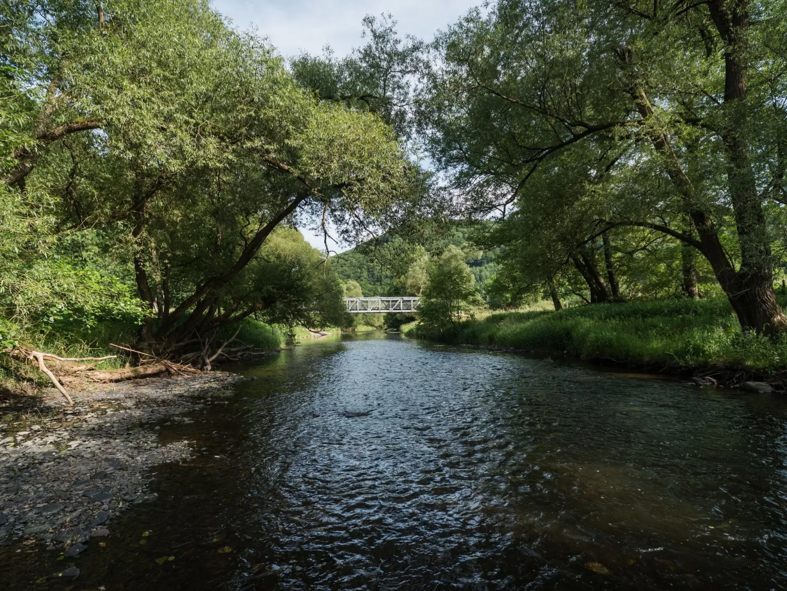In Waldbreitbach mit Whirlpool - Dehors