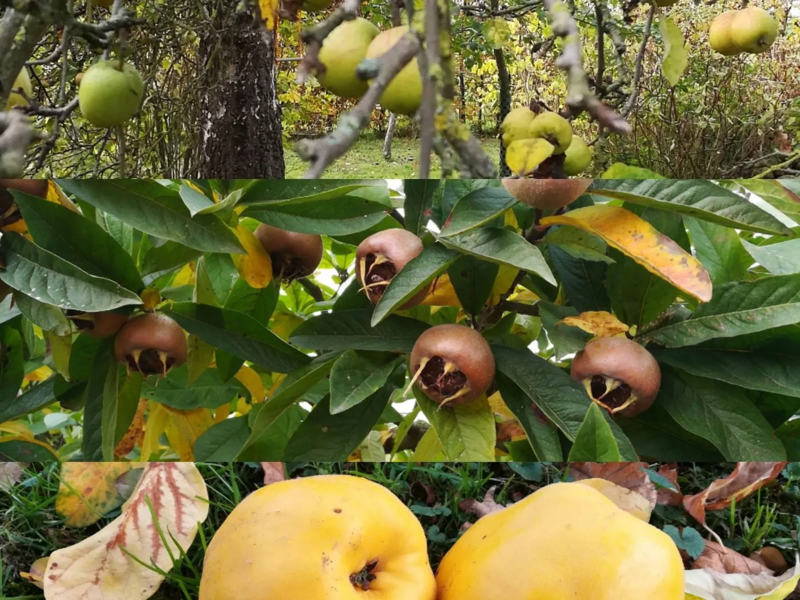 Janet Ratschkowski-Draußen