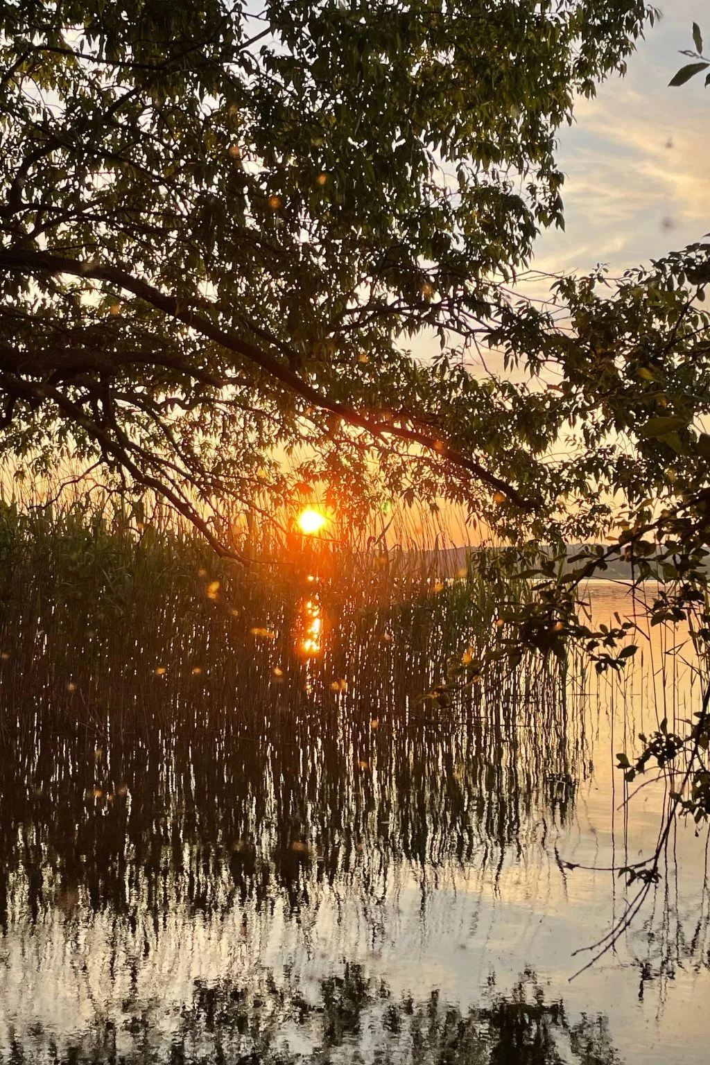 In Dahmen Terrasse und Grill-Draußen