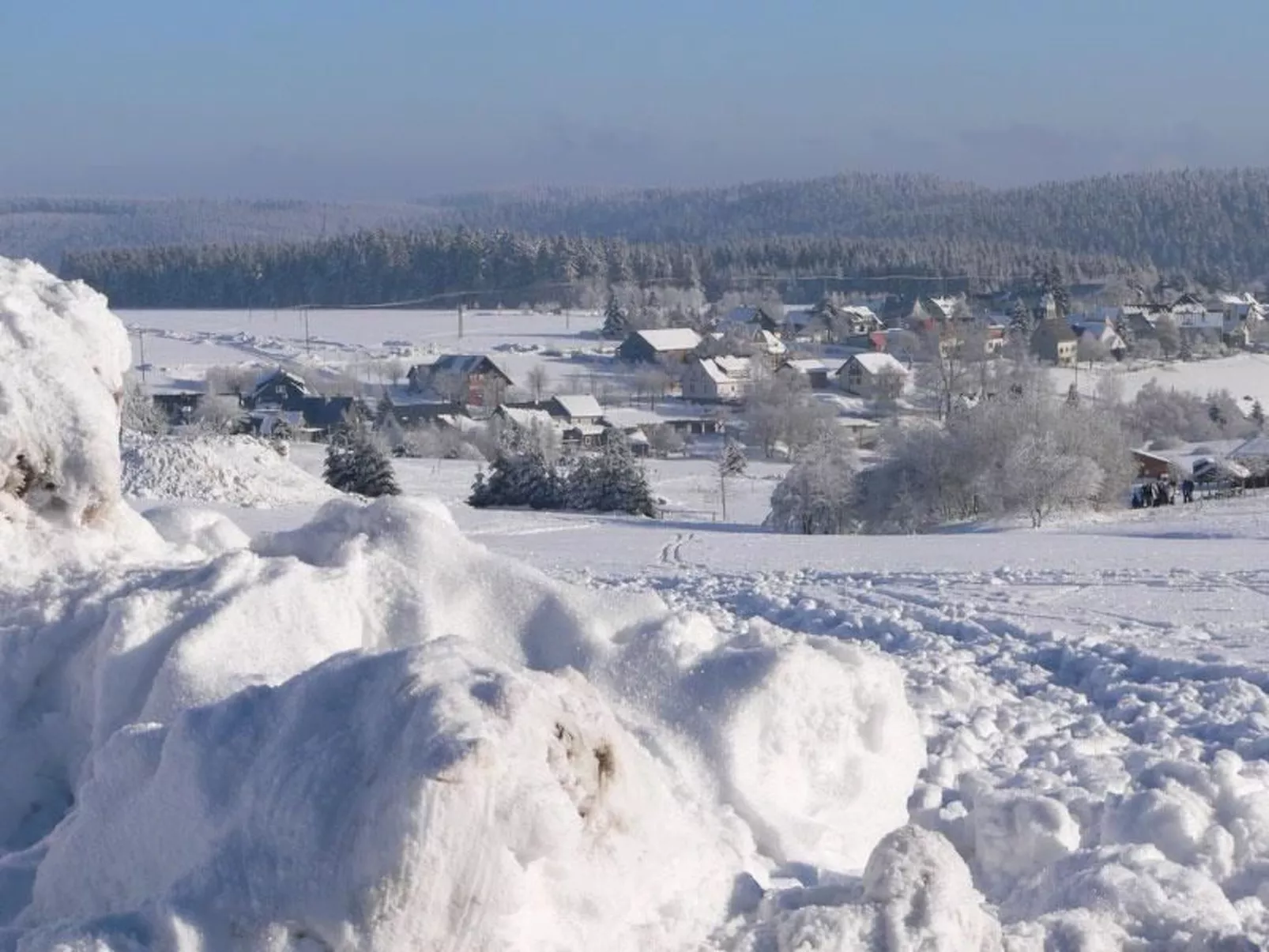 Wiesengrund-Draußen