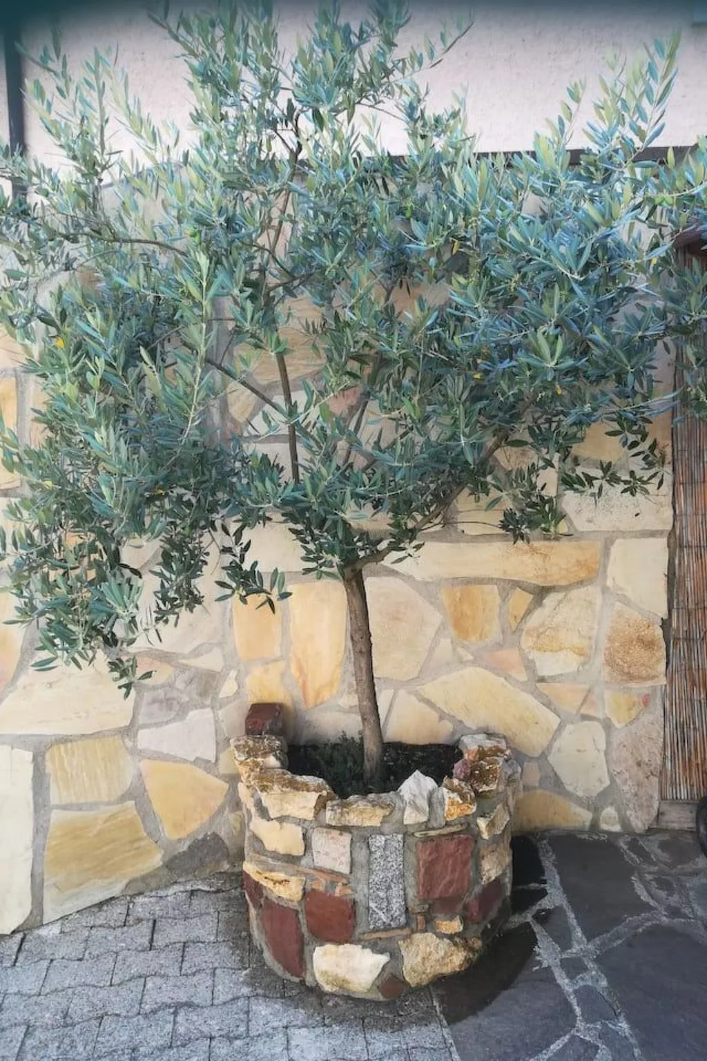 Tolle Ferienwohnung in Burkheim-Outside