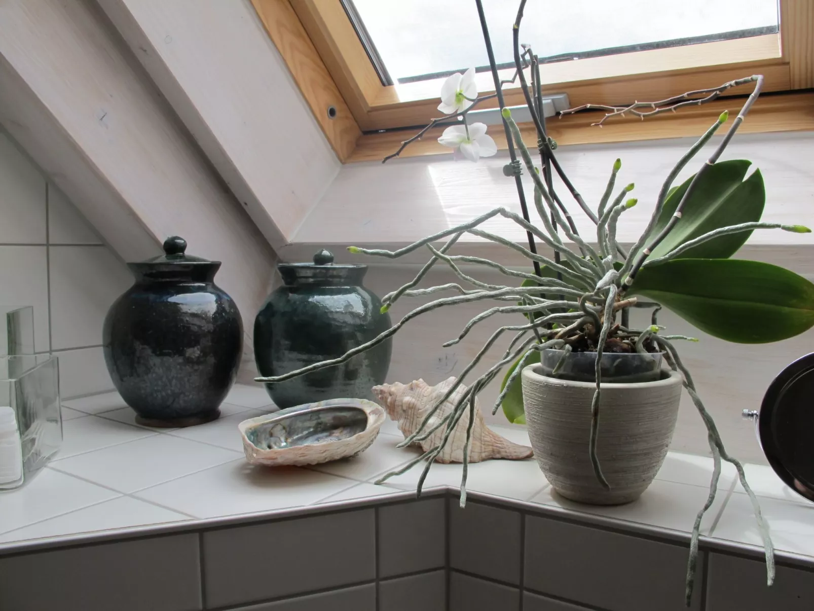 Spessart Bessenbach-Drinnen