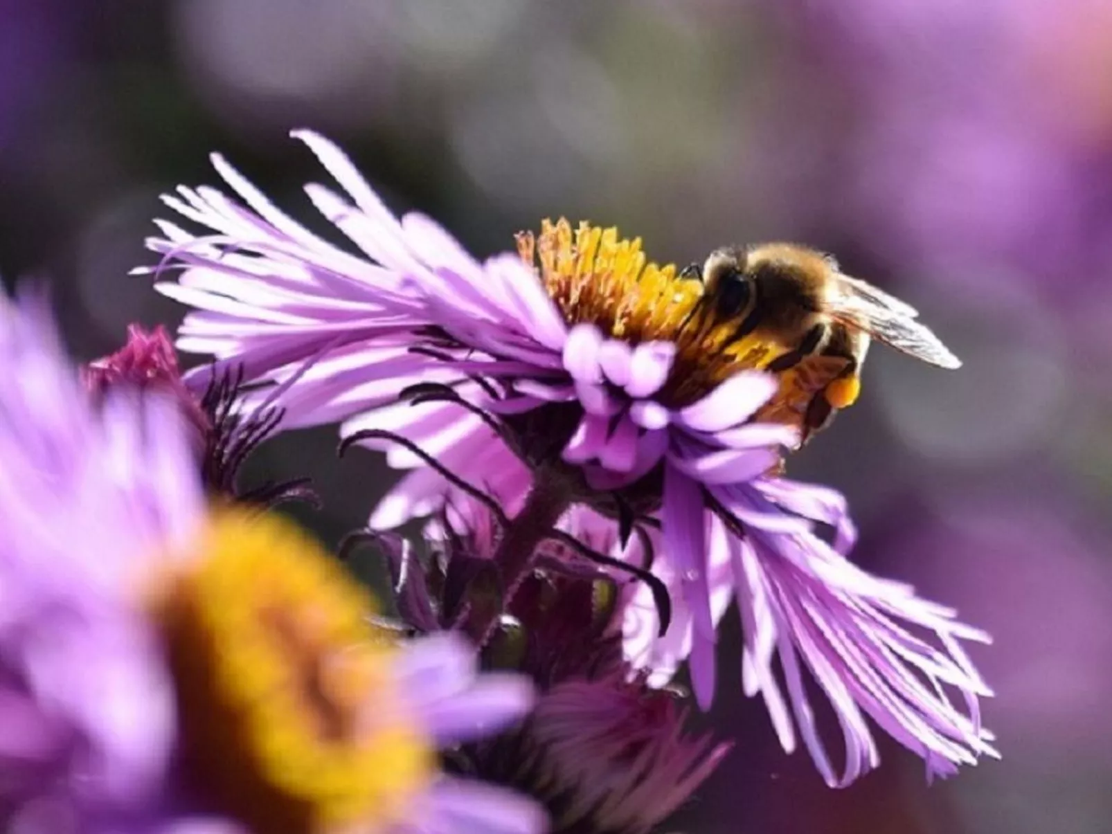 Stadt Apartement-Draußen