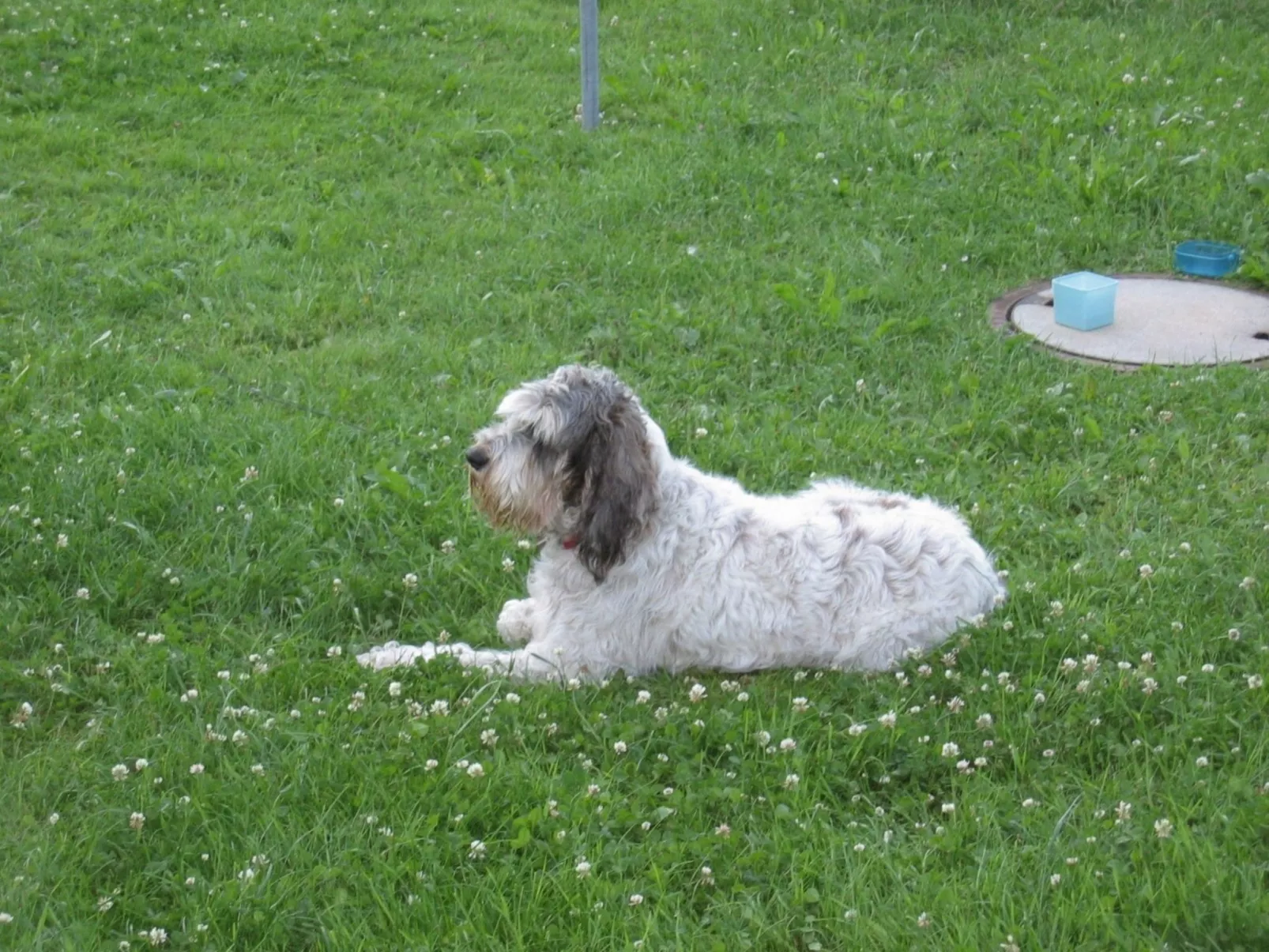 Appartement in Wittenschwand-Outside