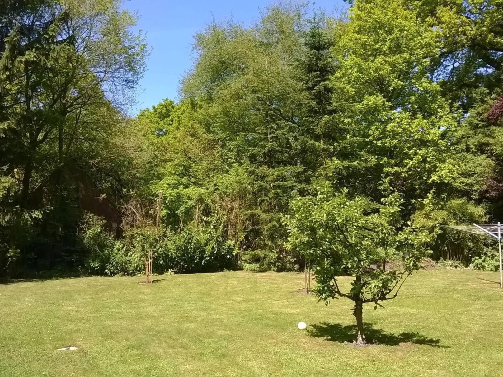 Zentrale Ferienwohnung mit Terrasse - Draußen