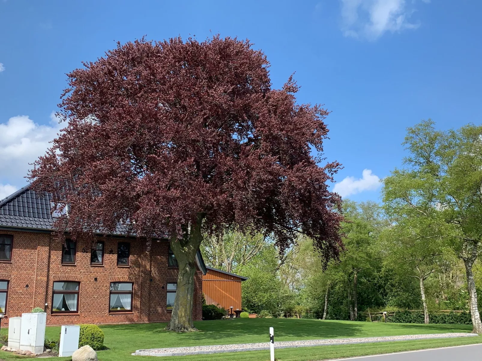 Studio Appartement Gartenblick-Draußen