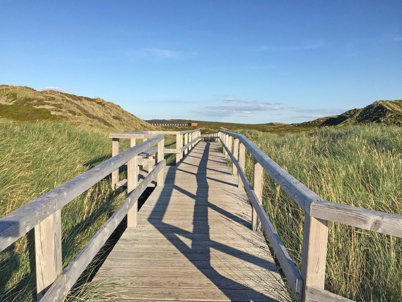 Strandfloh in Hörnum-Draußen