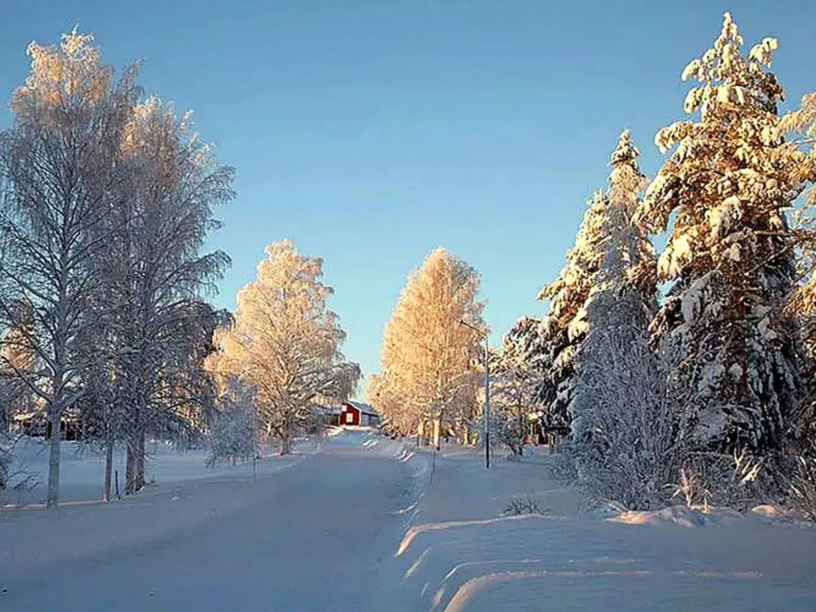 Am Wald mit Kaminofen und Veranda-Draußen