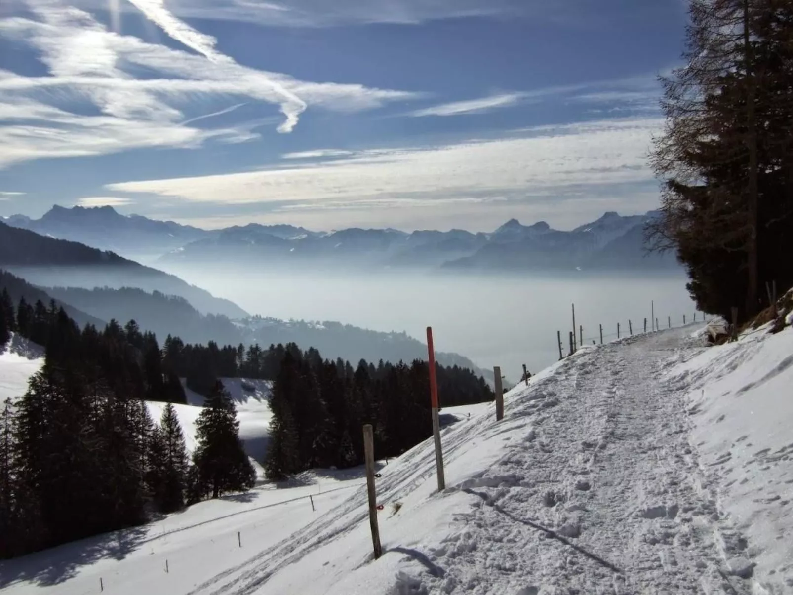 Les Narcisses,Blonay-Dehors