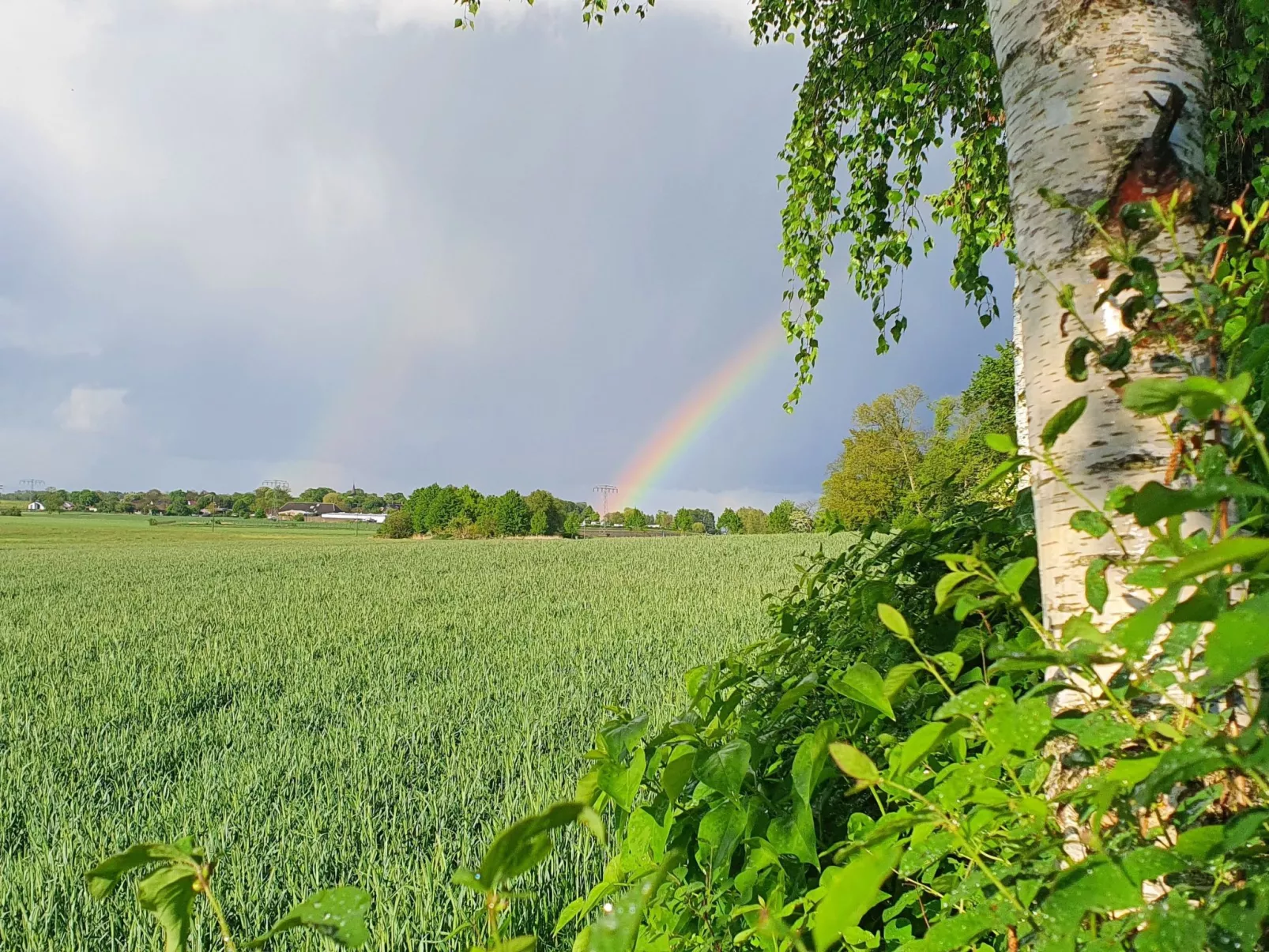 Landhaus Müritzliebe-Image-tags.info