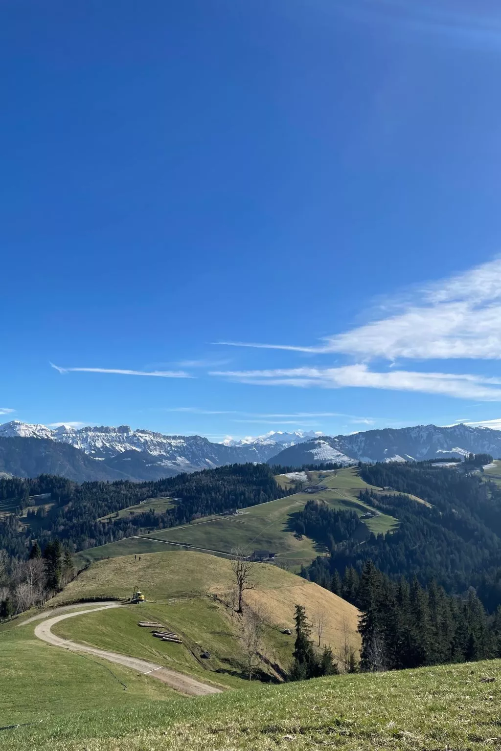 Chalet Muse-Image-tags.info