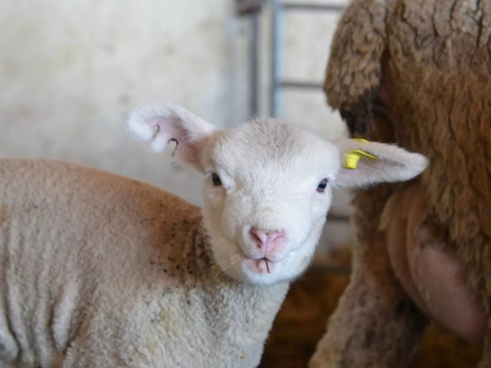 Biohof Furn-Image-tags.info