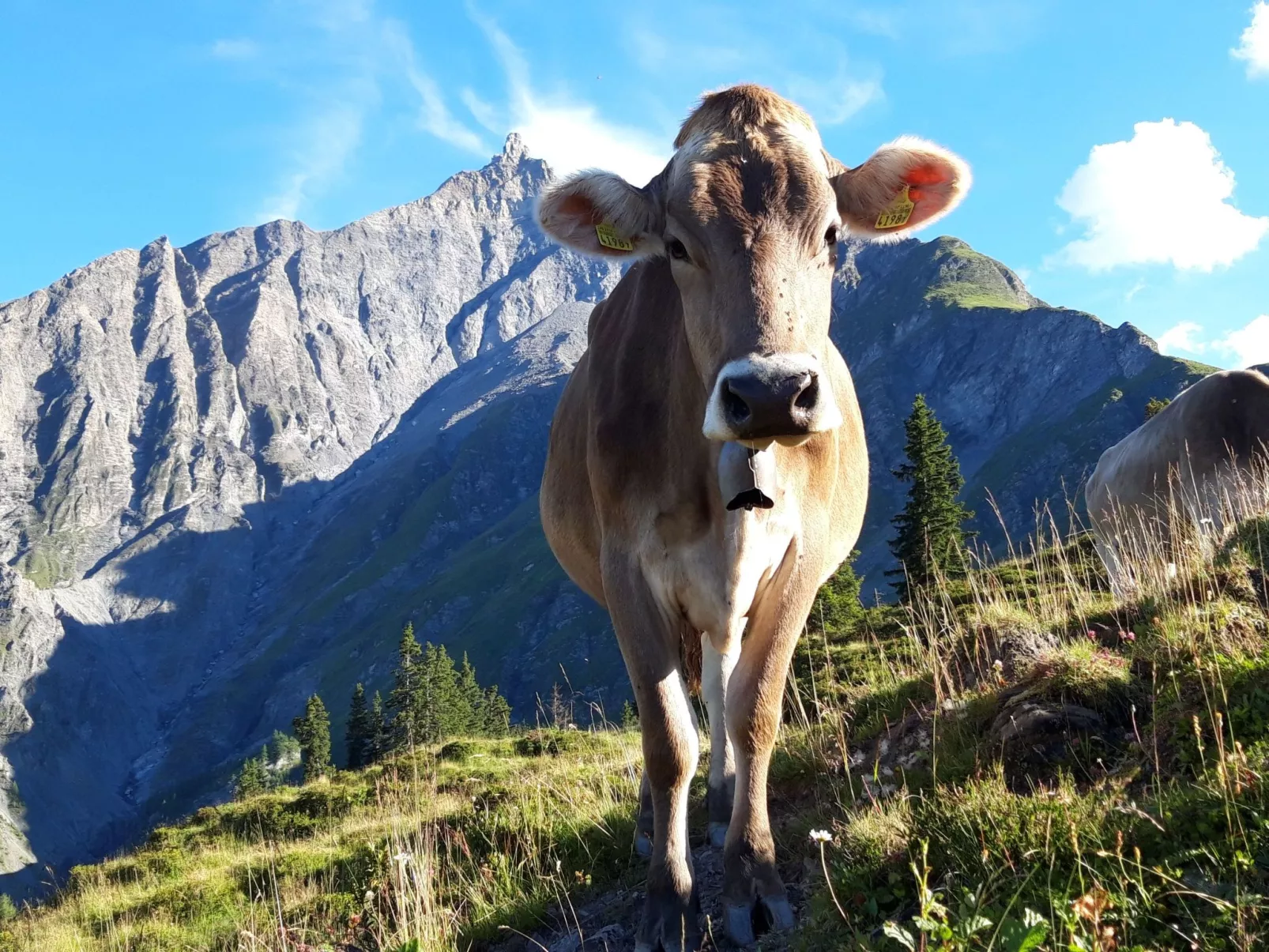 Hof Gross Gada-Dehors