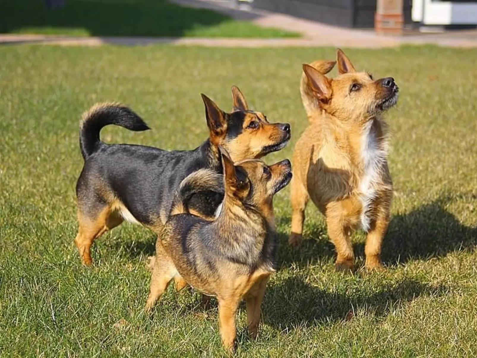 Anwesen "Oranjehorst"-Dehors
