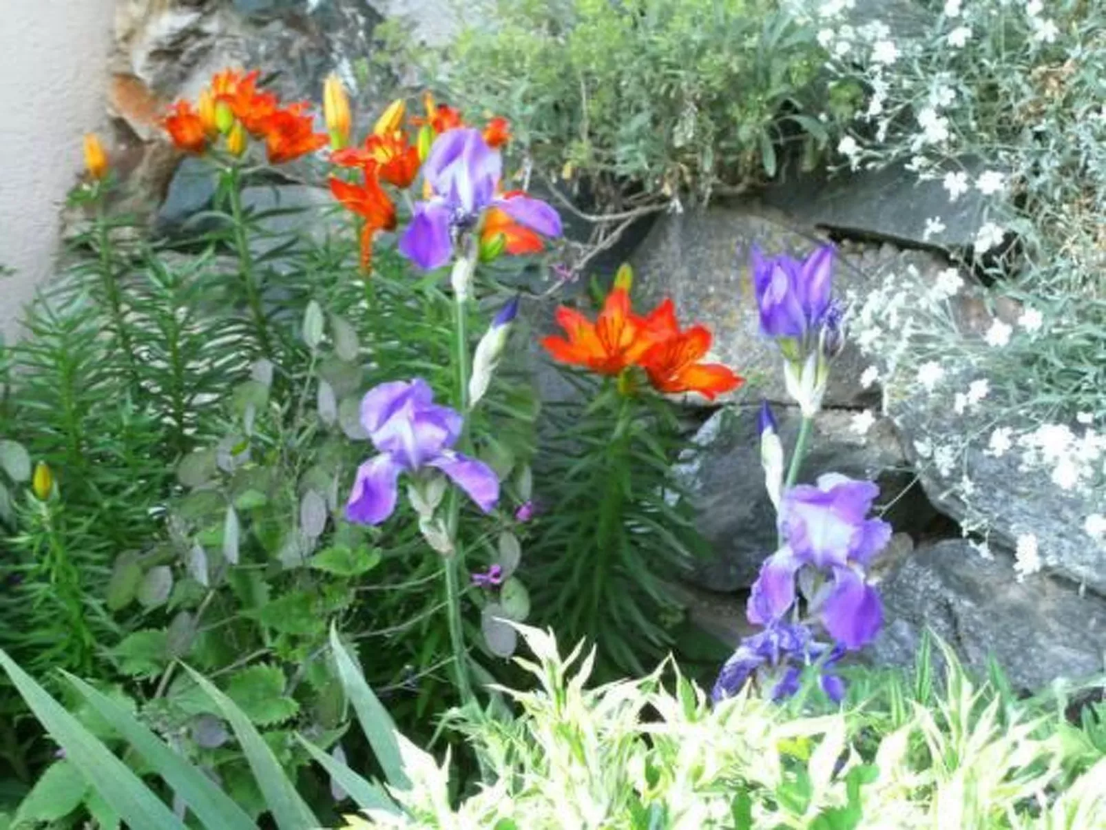 Ferien im grünen rechts-Dehors
