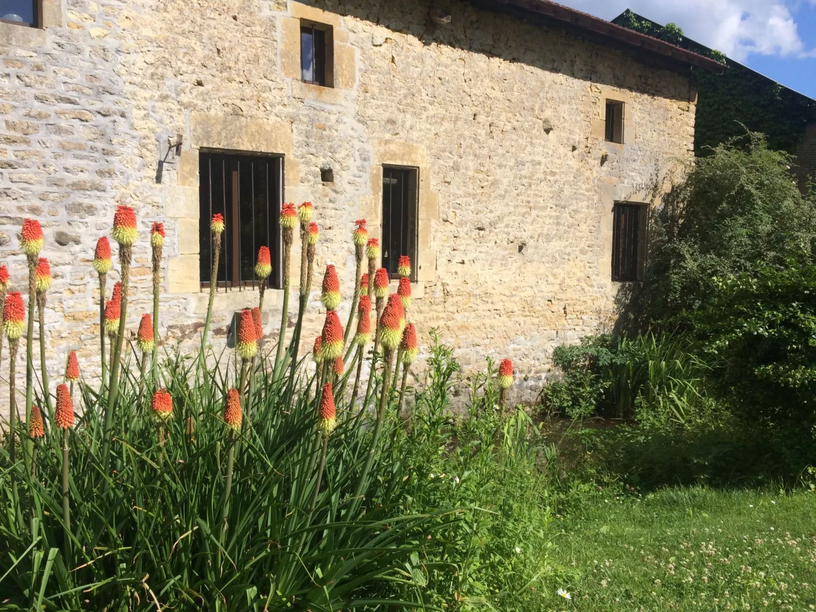 The Water Mill of Tourteron-Dehors