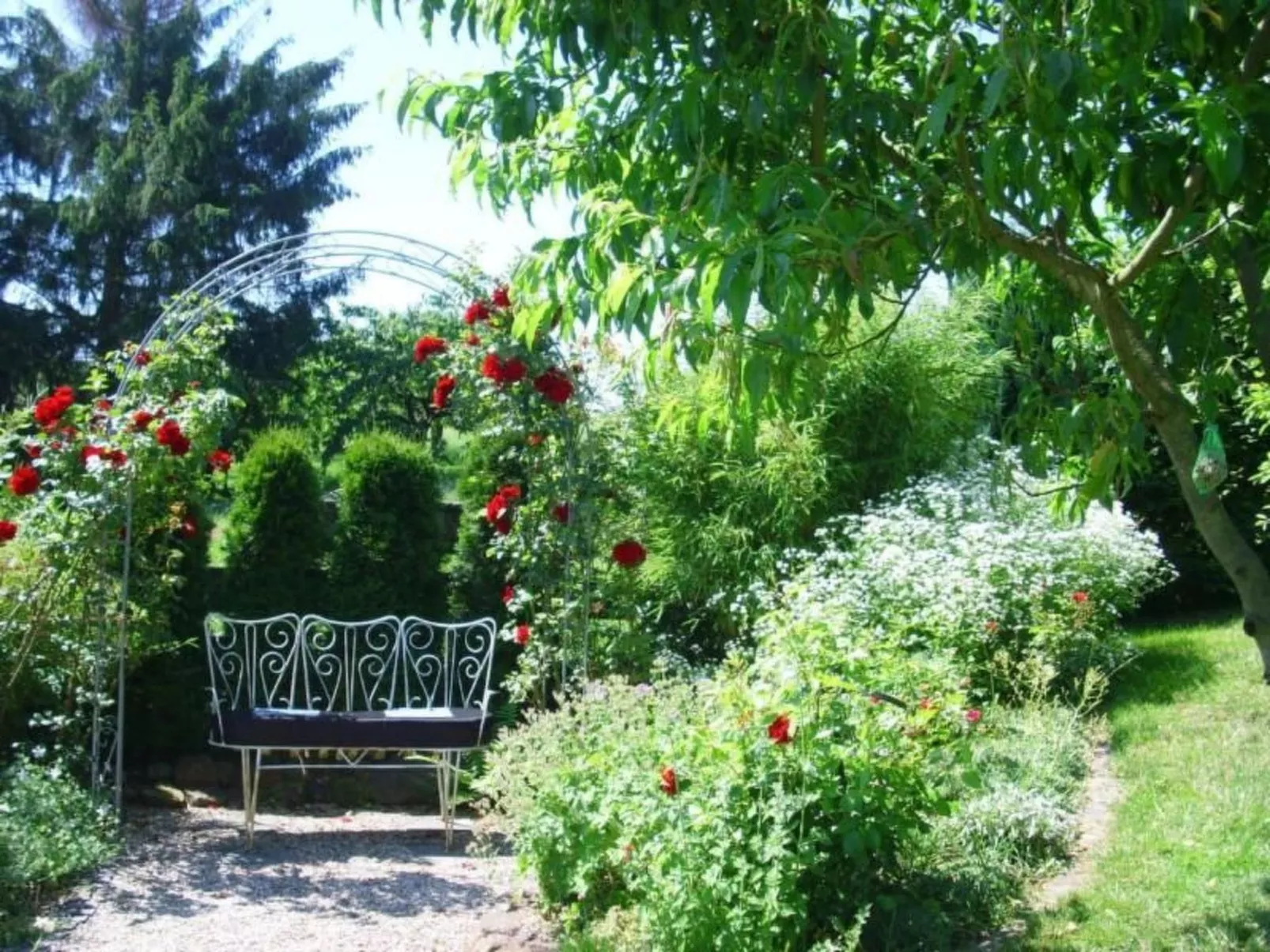 Ingrid-Image-tags.info