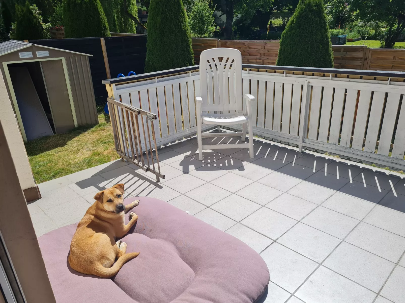 Lusen-Image-tags.info