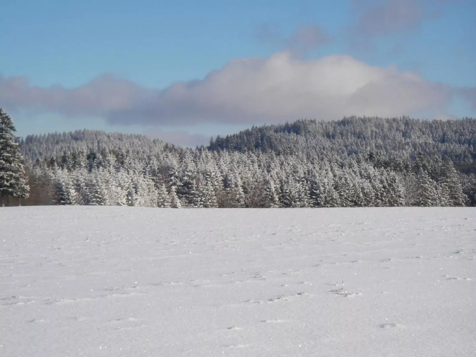 Chalet "Lena"-Outside