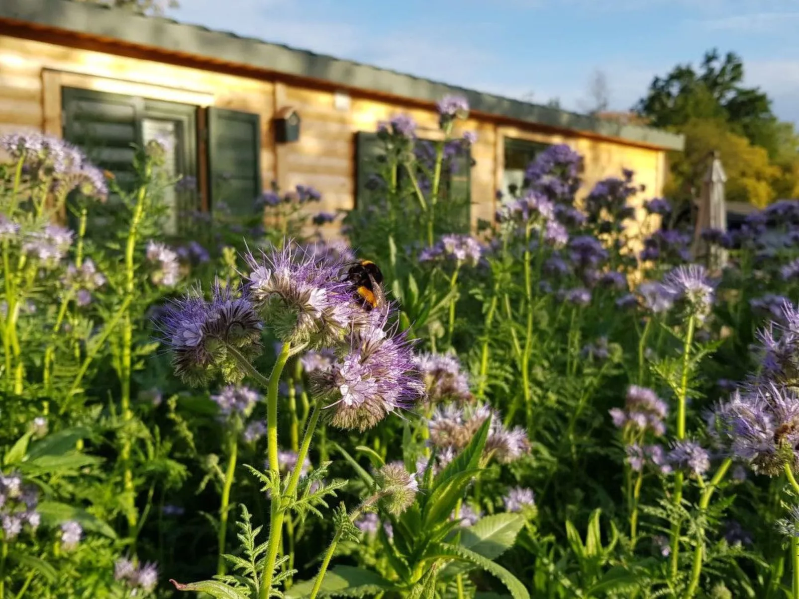 In Atzenhain mit Großer Terrasse-Dehors