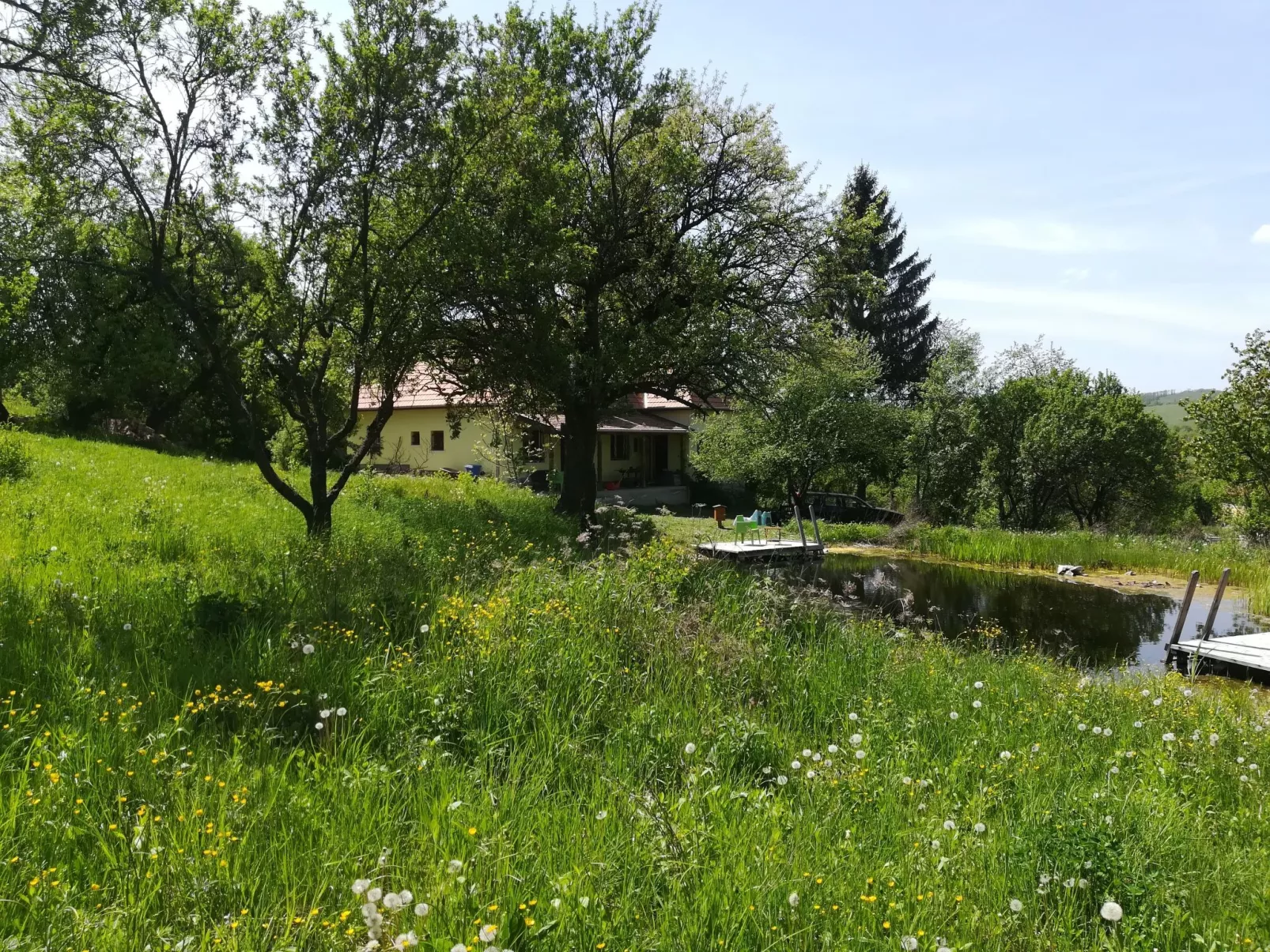 Mit biologischem Schwimmteich-Dehors