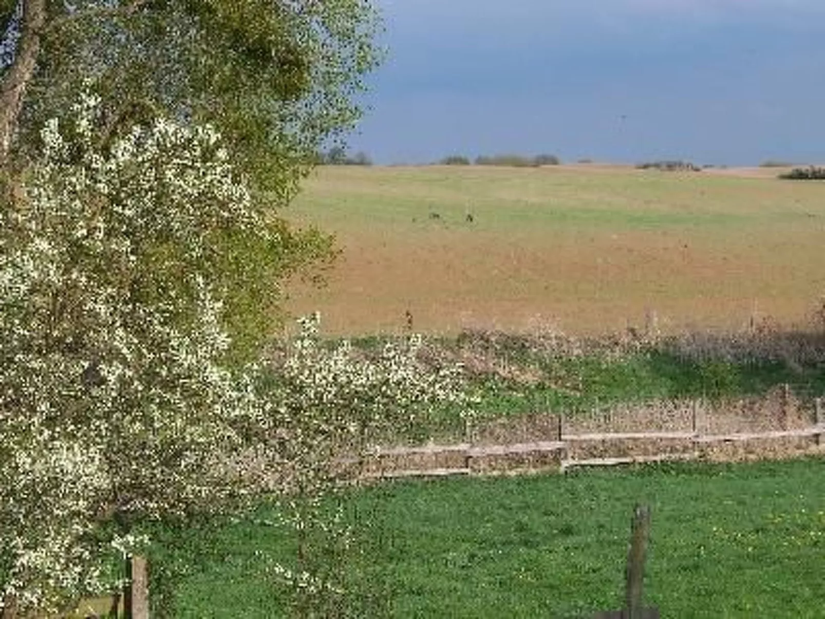 Zu den drei Schönen-Outside