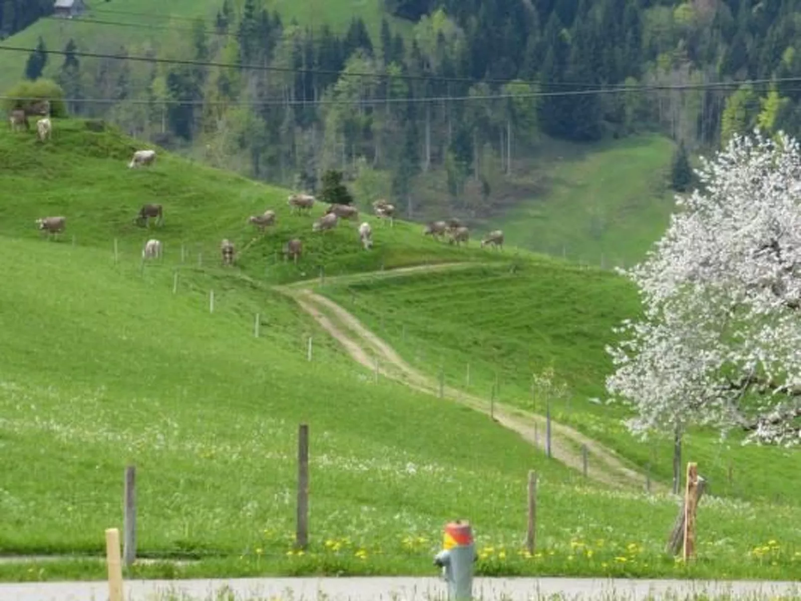 Ferienhof-Barenegg-Draußen