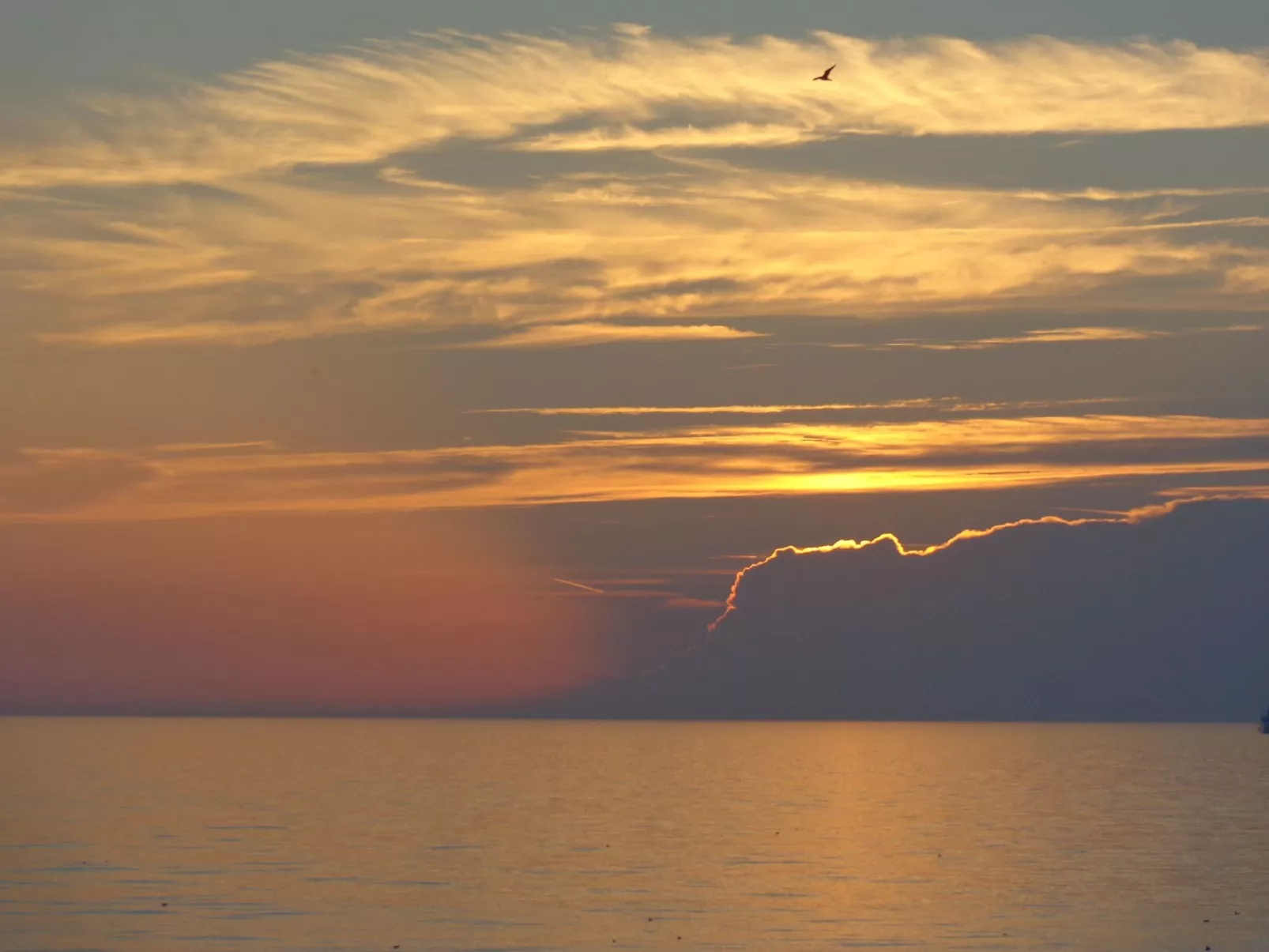 "De Blenck" mit privatem Garten und Terrasse-Draußen