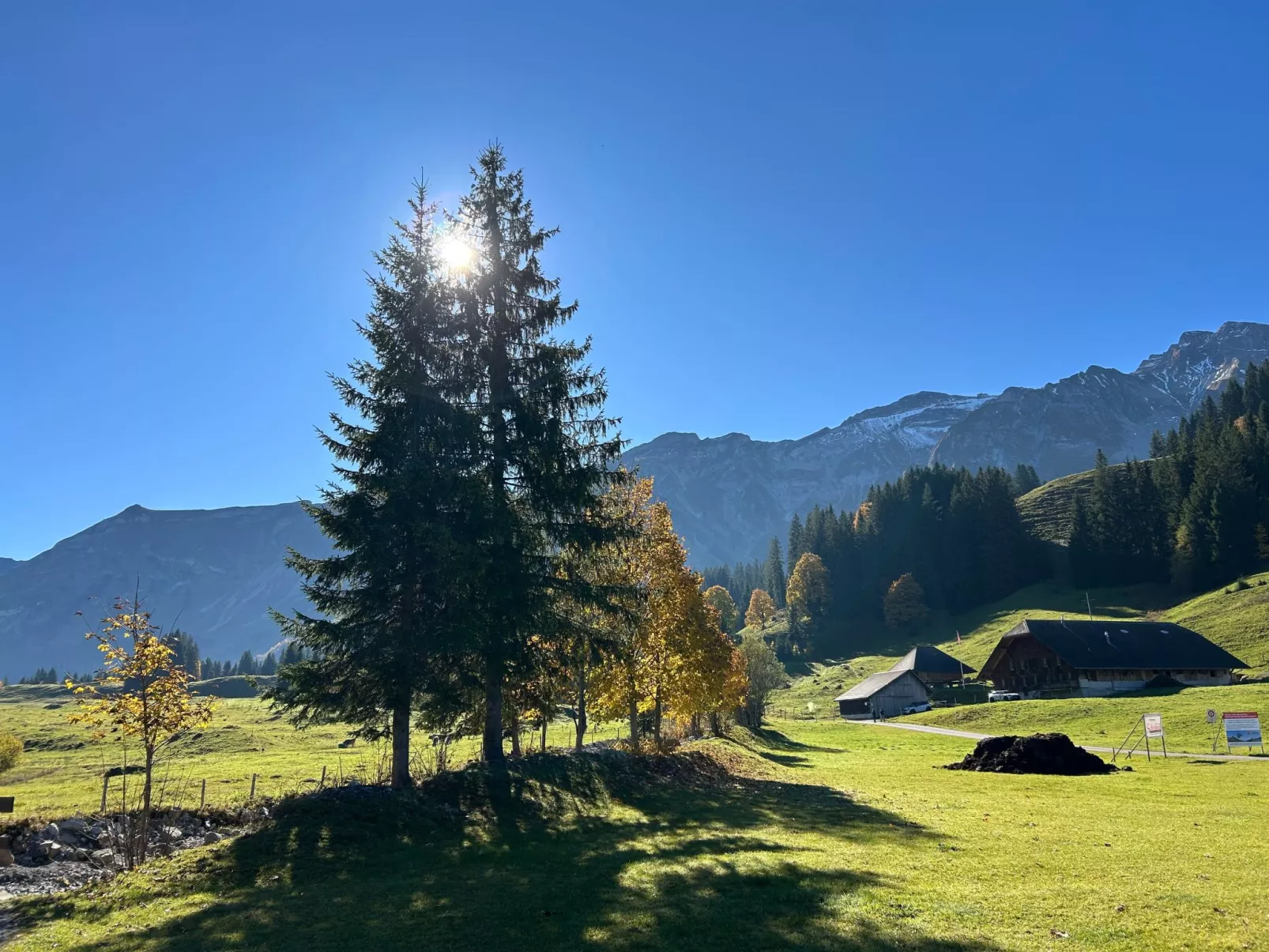 Wohnung Hirschi-Outside