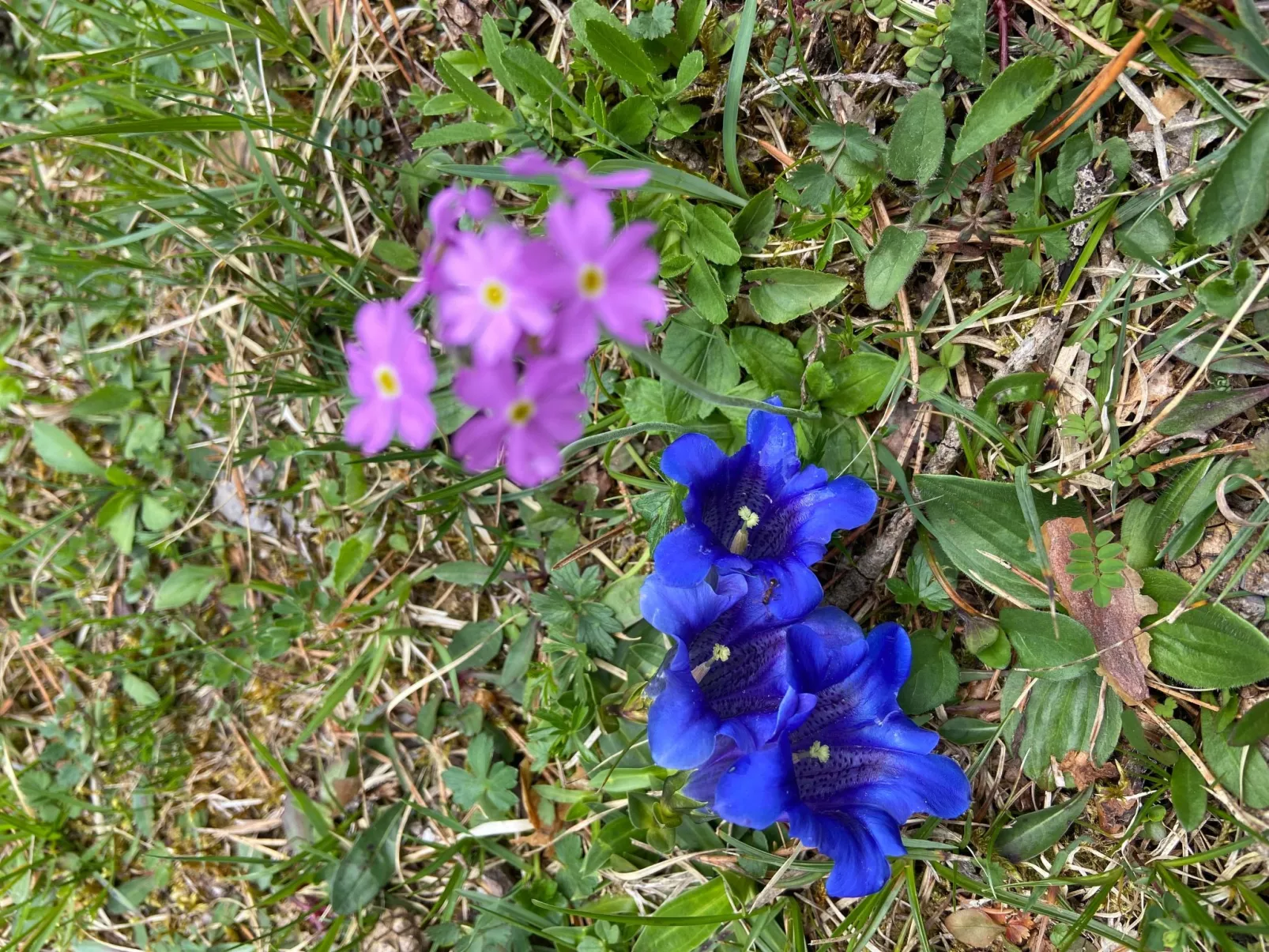 Haus Rosenwirth-Draußen