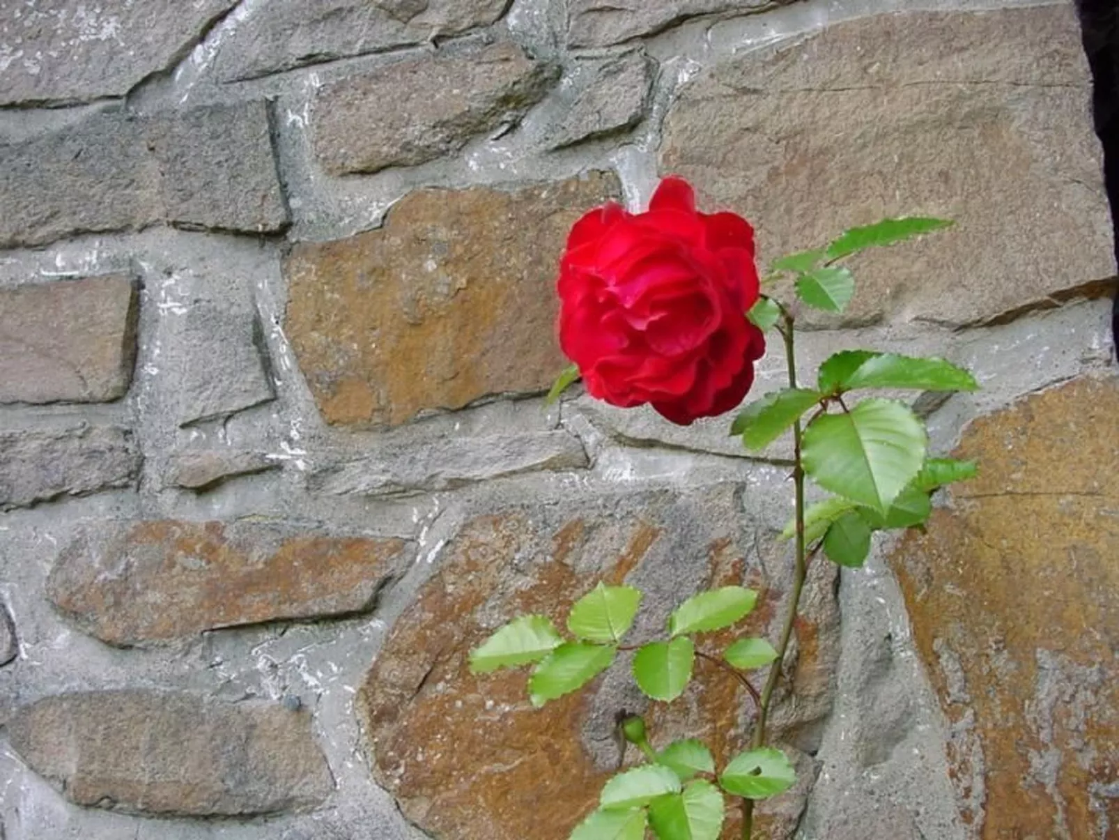 Ederseeblick in Bringhausen am Edersee-Draußen