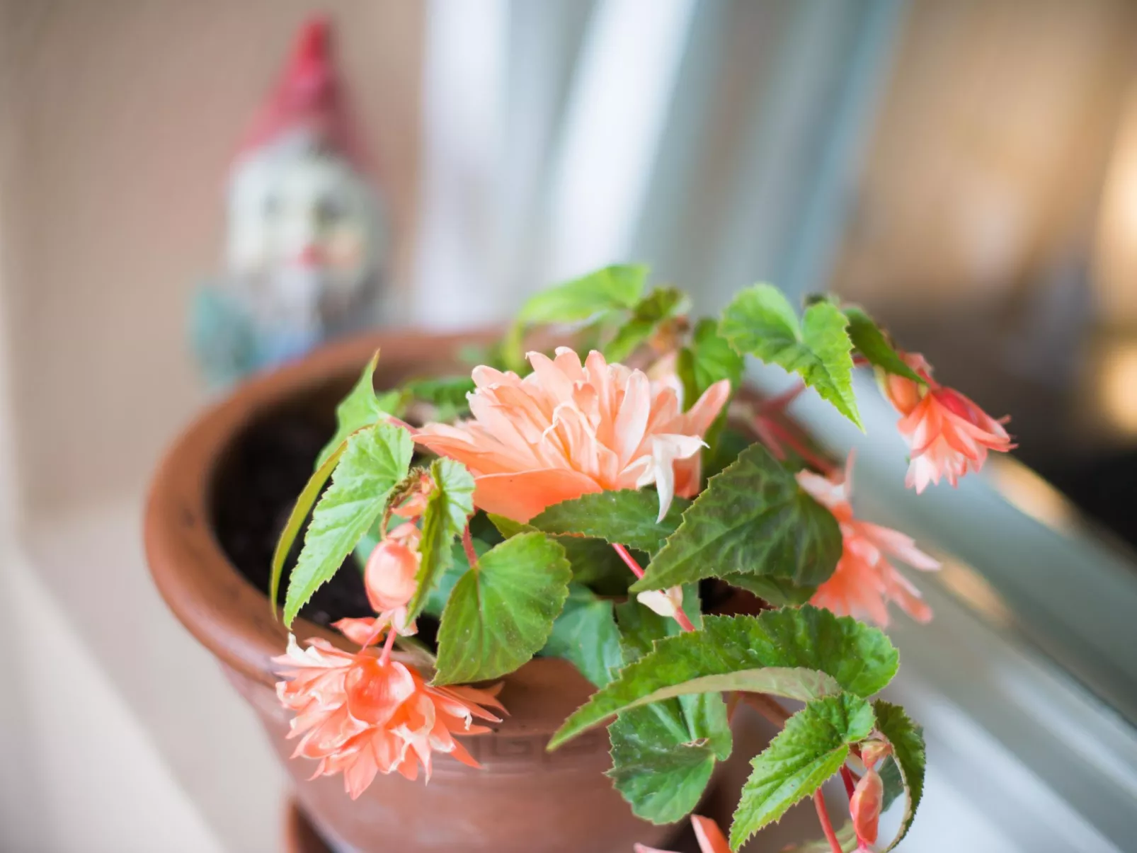 Appartement in Zasip mit Möblierter Terrasse-Drinnen